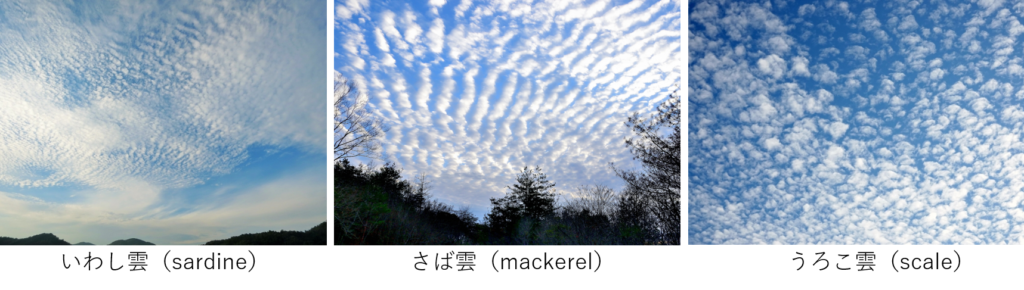 いわし雲 うろこ雲 ひつじ雲を英語で言ってみよう つたえる つたわる ニッポン